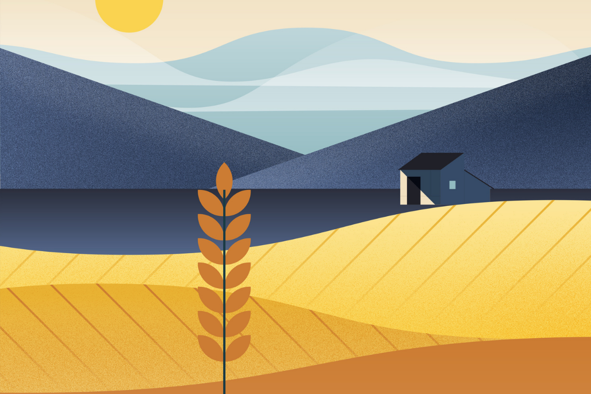 agricultura regenerativa