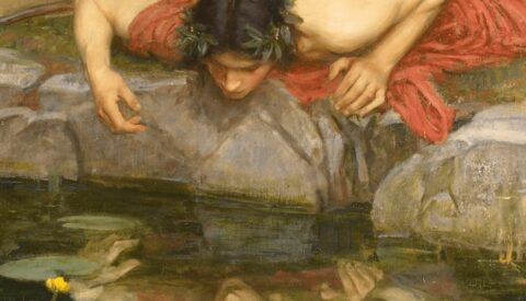 Narcisismo colectivo (y narcisistas vulnerables)