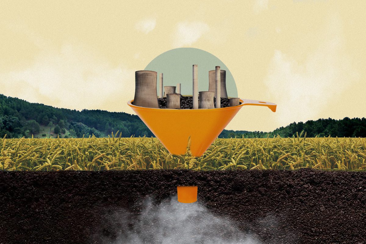 ¿Y si la solución al cambio climático estuviera bajo nuestros pies?