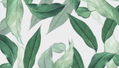 Un jardín para encontrar la calma