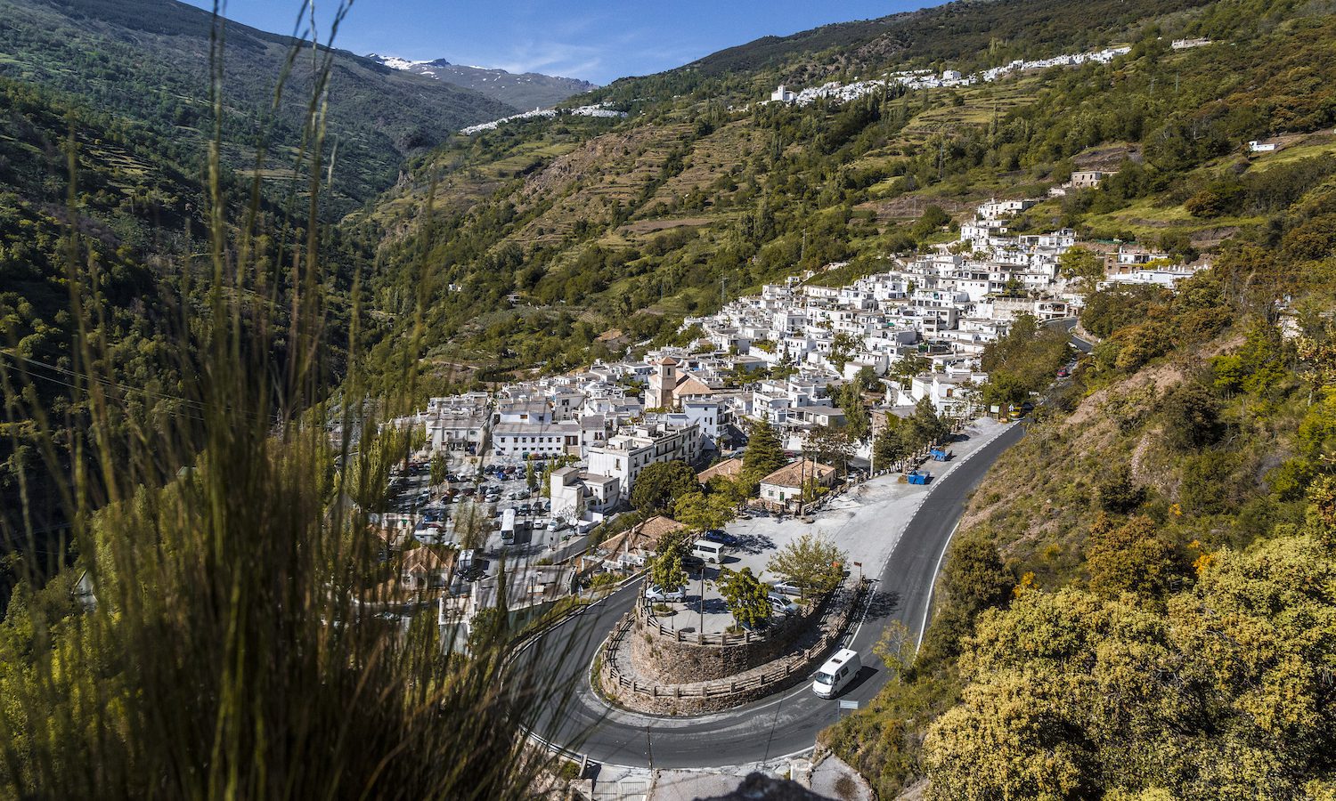 Cómo unir todas las áreas naturales del planeta en un solo «sendero verde»