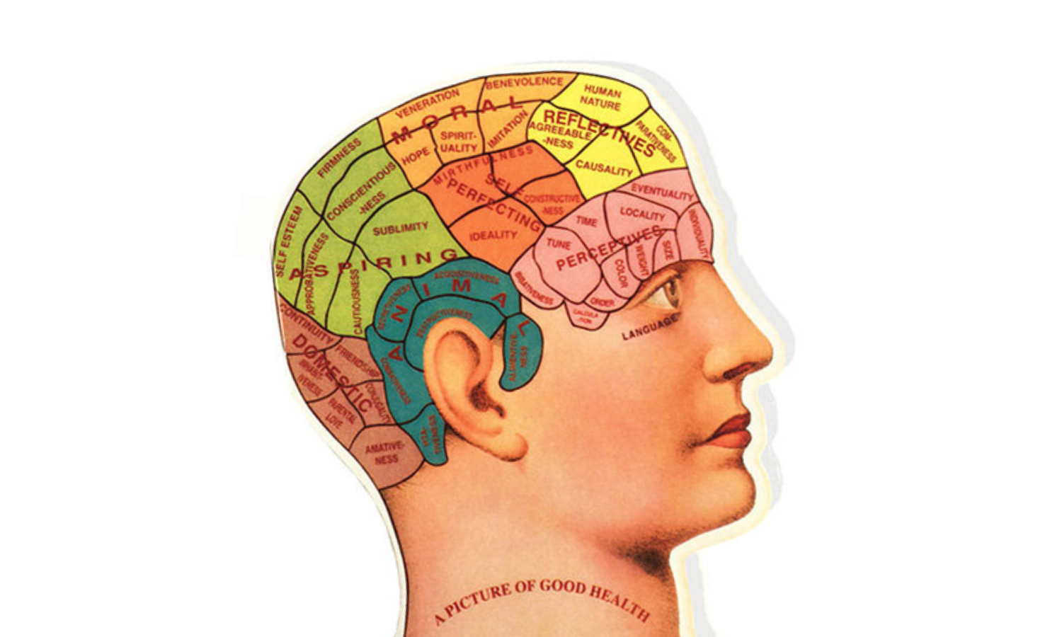 inteligencia
