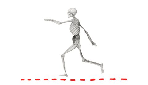 ¿Quiere ser libre? Salga a caminar