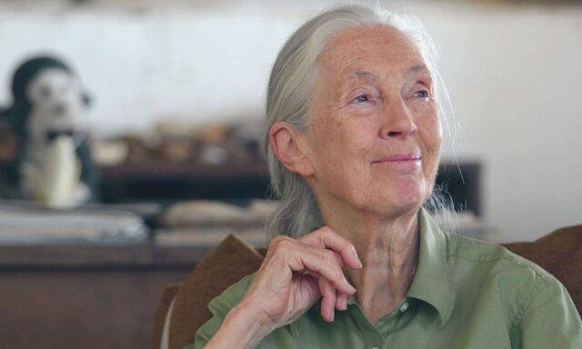 Jane Goodall