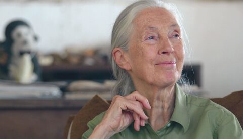 «En la lucha por el desarrollo económico, el medio ambiente siempre ha salido perdiendo»