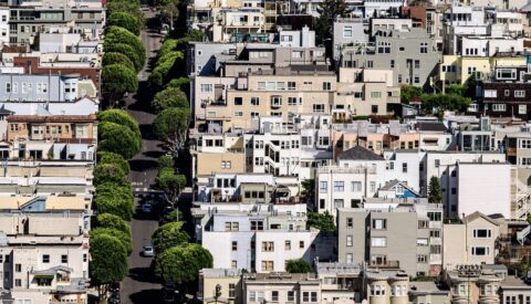 ¿Está contaminada su ciudad? Pregúnteselo a los árboles