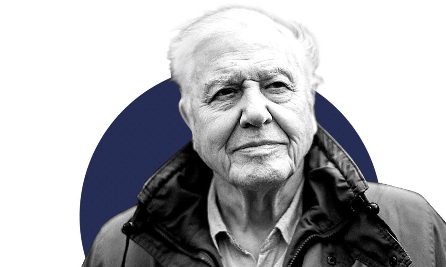 David Attenborough y sus setenta años de defensa planetaria