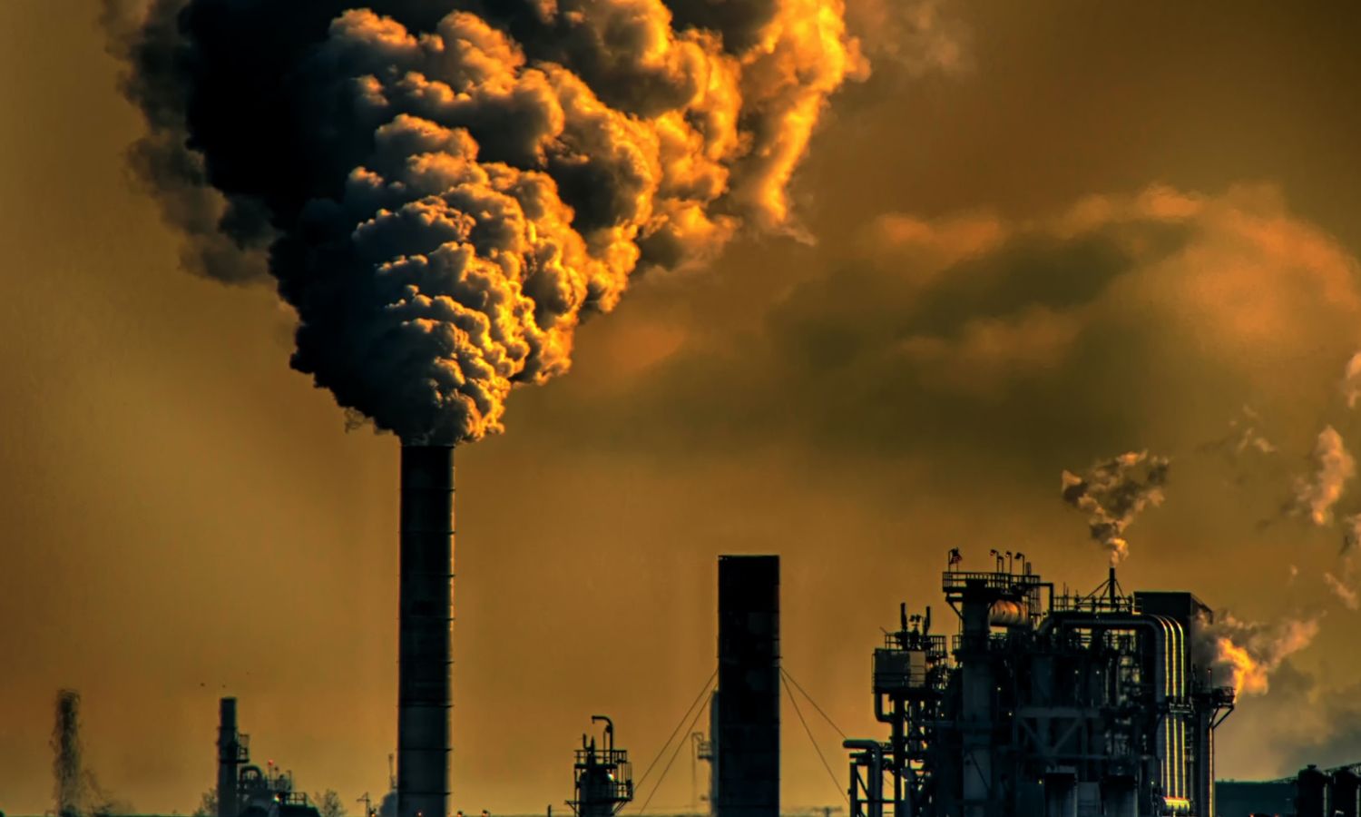 El cambio climático nos está enfermando