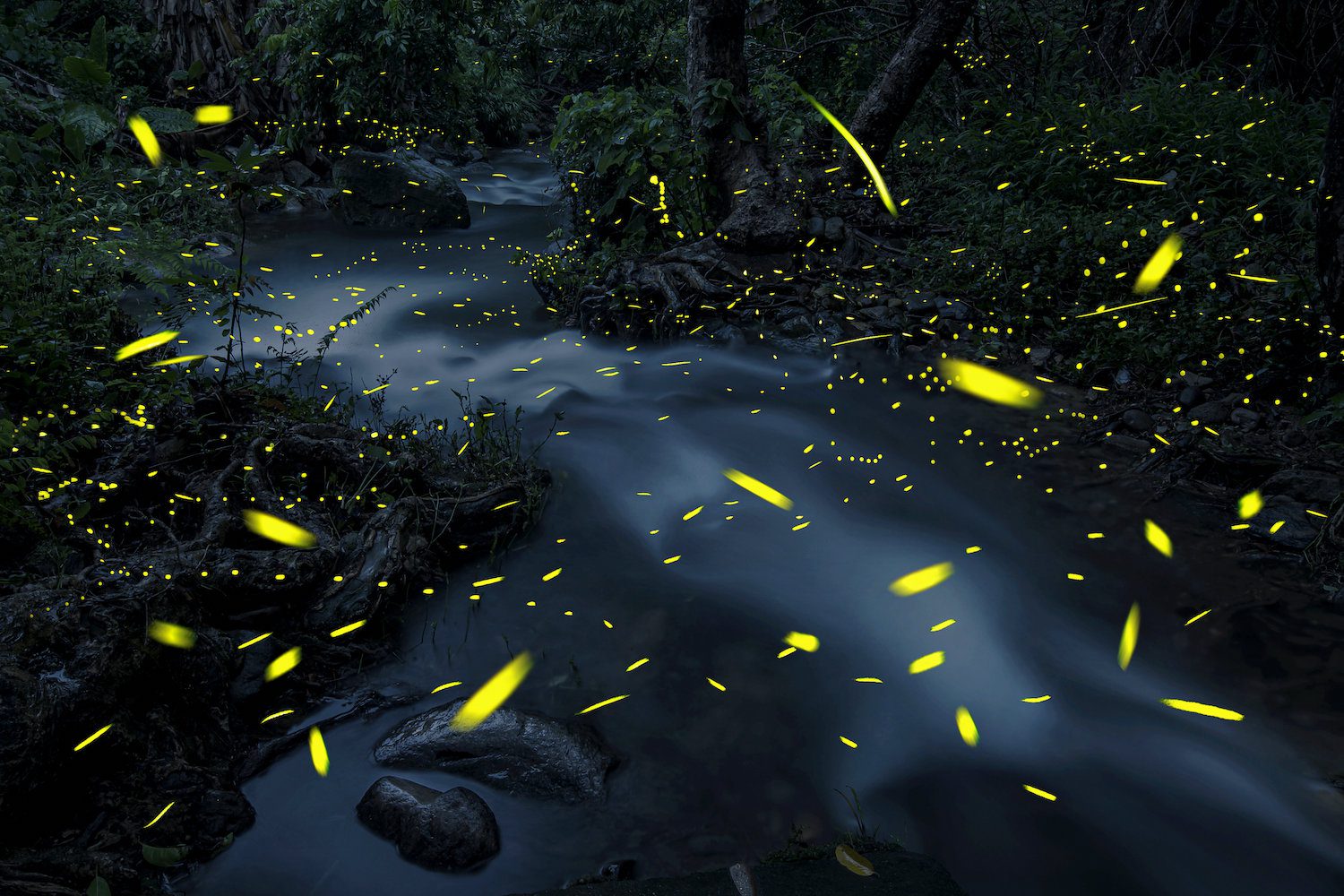 Haikun Liang - 'Glowworm', 2022 - China