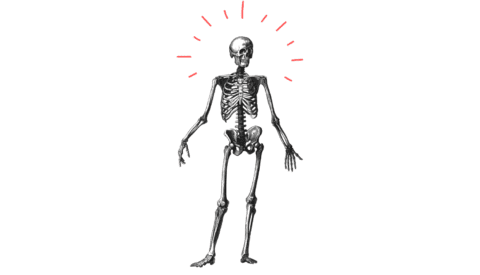 Escrito en los huesos