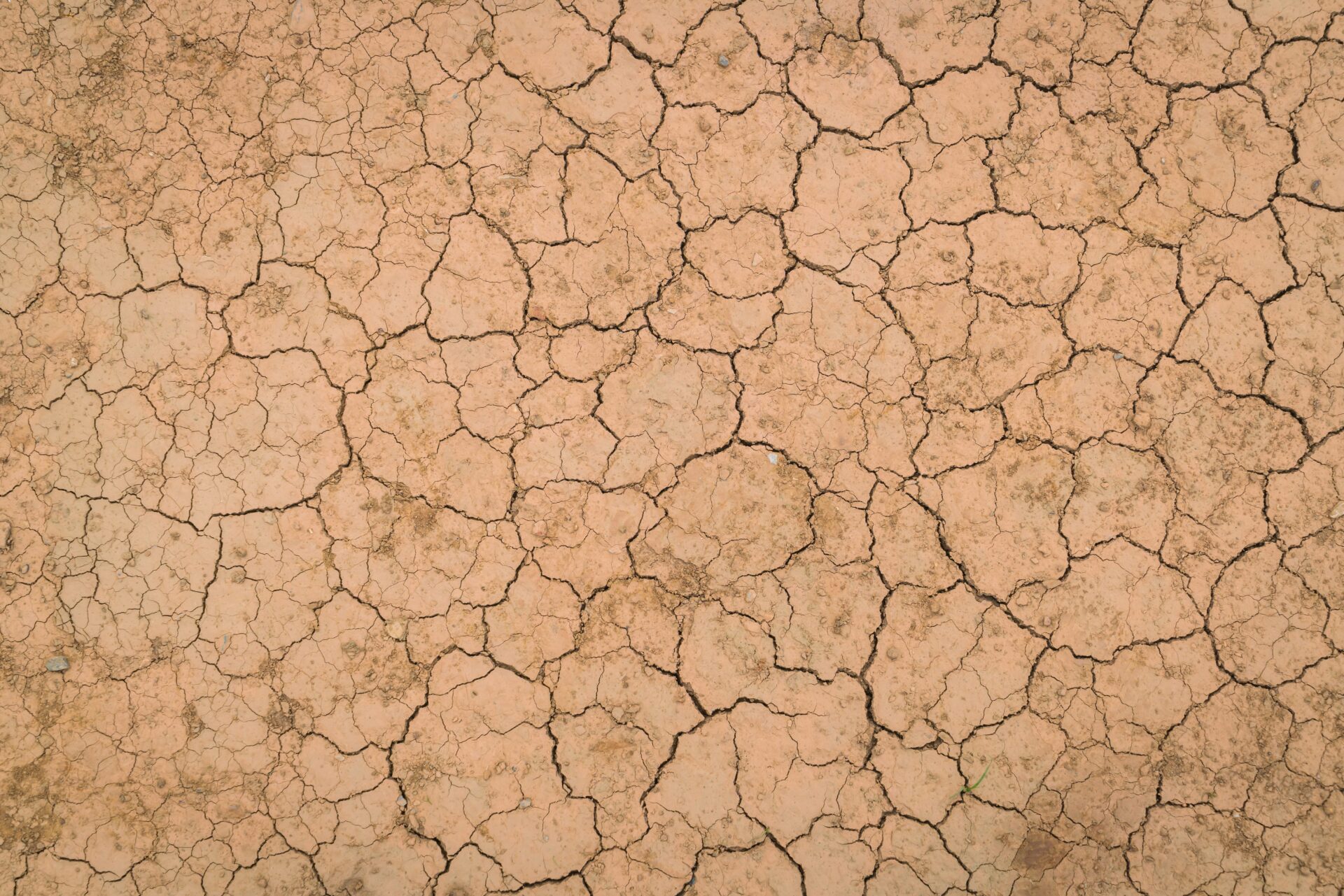 Las visas climáticas