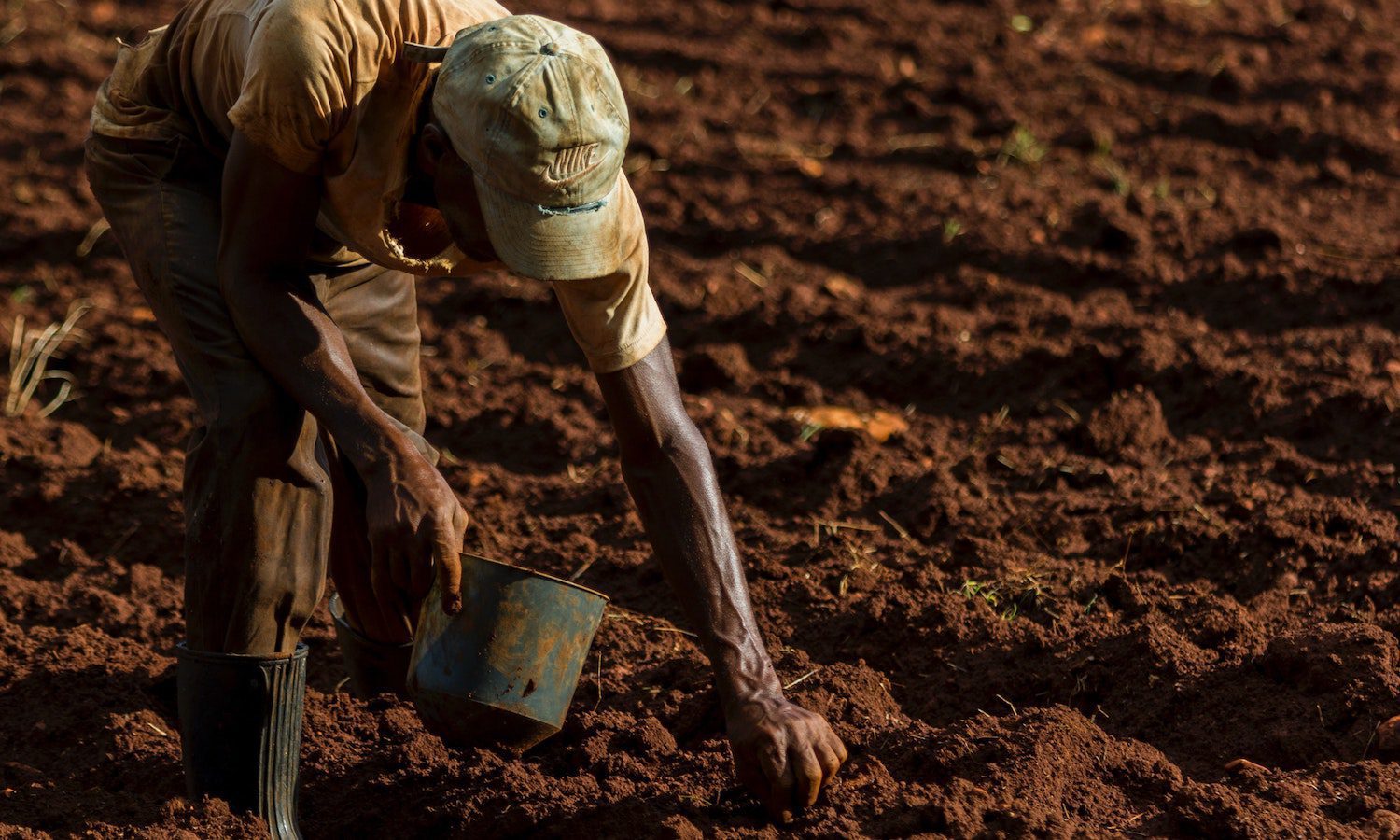 Justicia climática, justicia alimentaria
