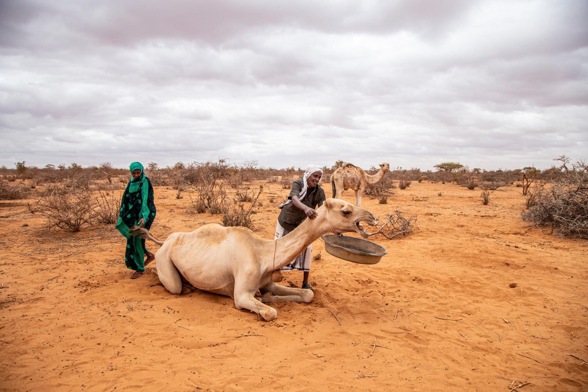 Seis catástrofes mundiales a las que se han enfrentado los niños en 2022