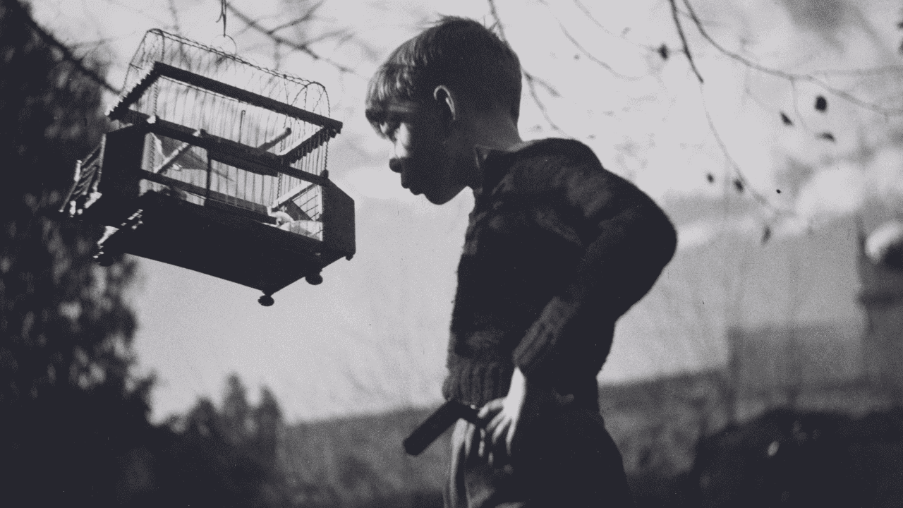 Sin título [Albert Xirau con un pájaro], 1932-1936.