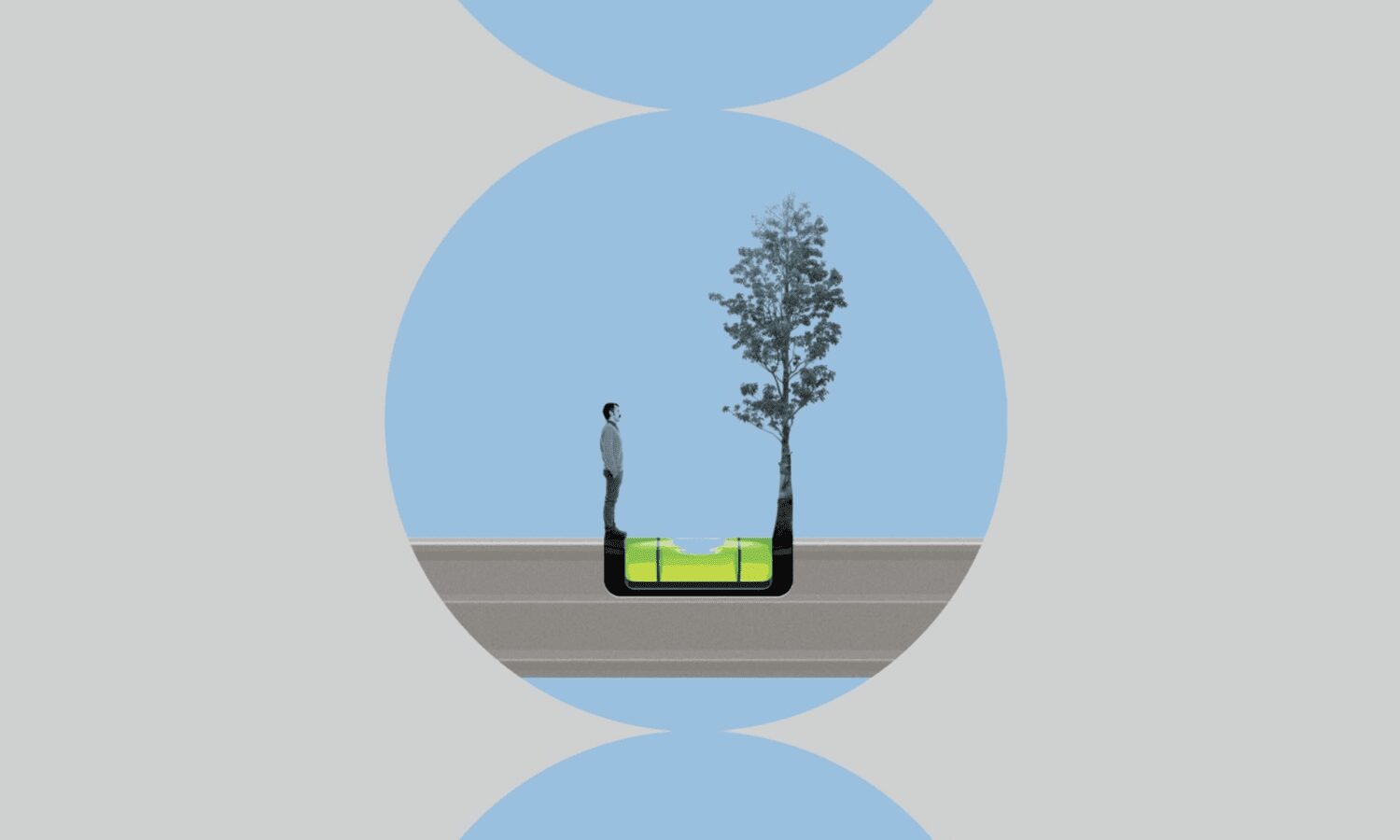 Quien planta un árbol planta una esperanza