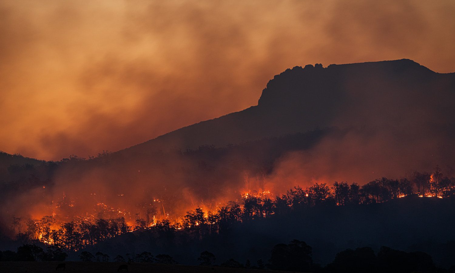 Asturias no arde, la queman