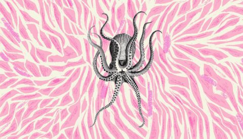 Cuando los animales sueñan