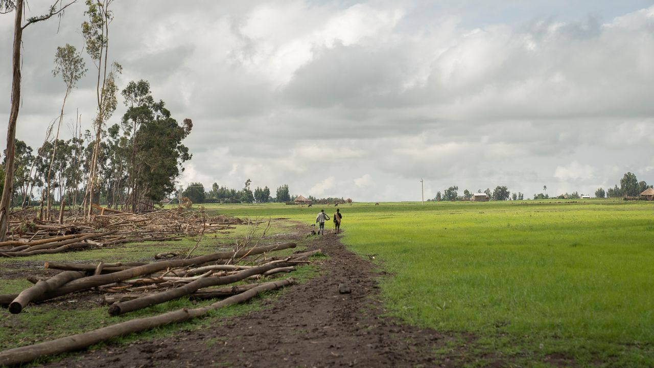 Cambio climático en Etiopía