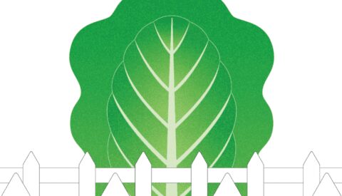 Cómo romper las barreras para una alimentación saludable