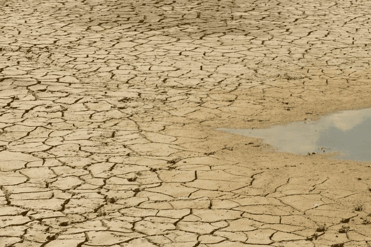 La Tierra será inhabitable en 2050 (si no caen las emisiones)