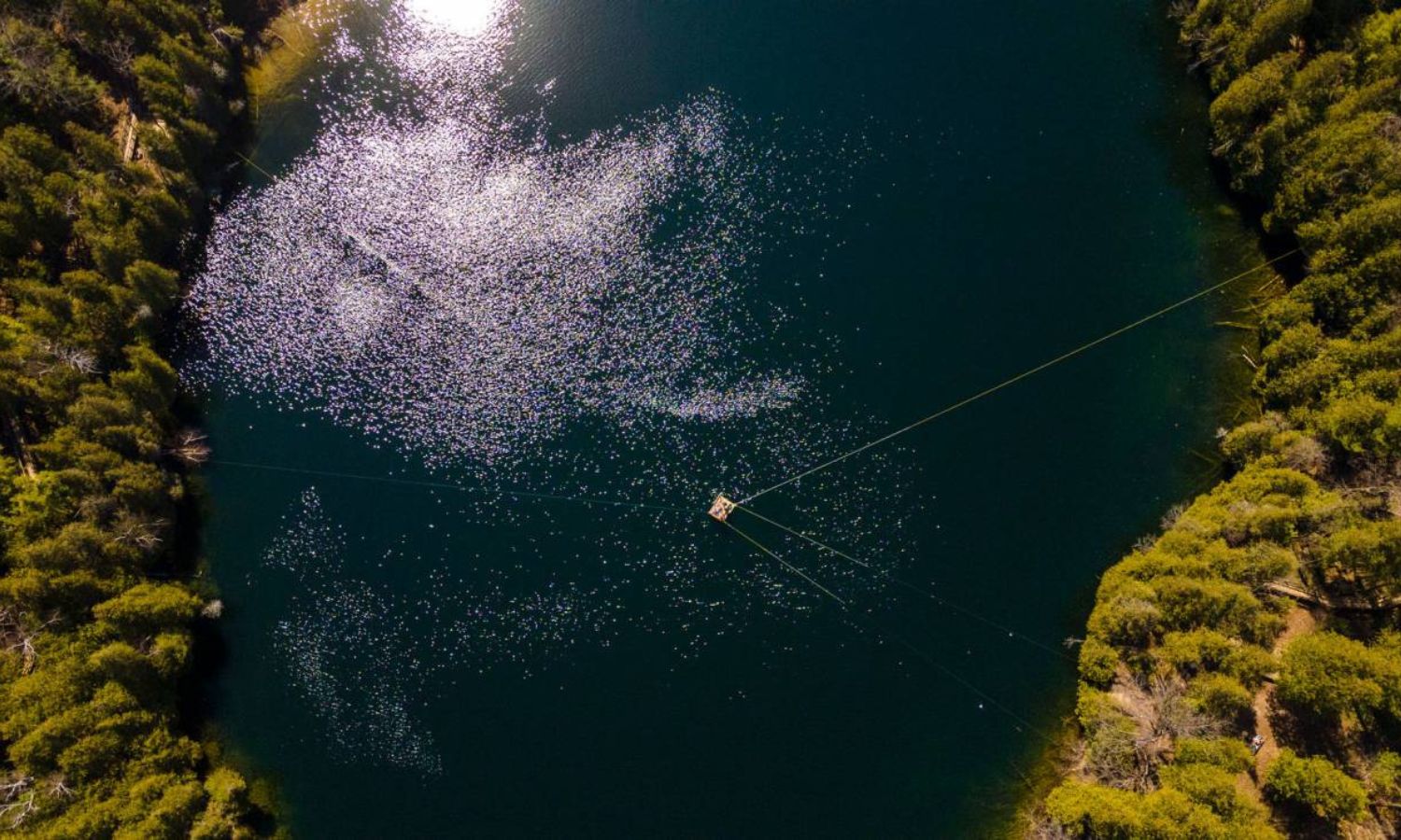 Este tranquilo lago canadiense podría ser el marcador de la nueva época del Antropoceno