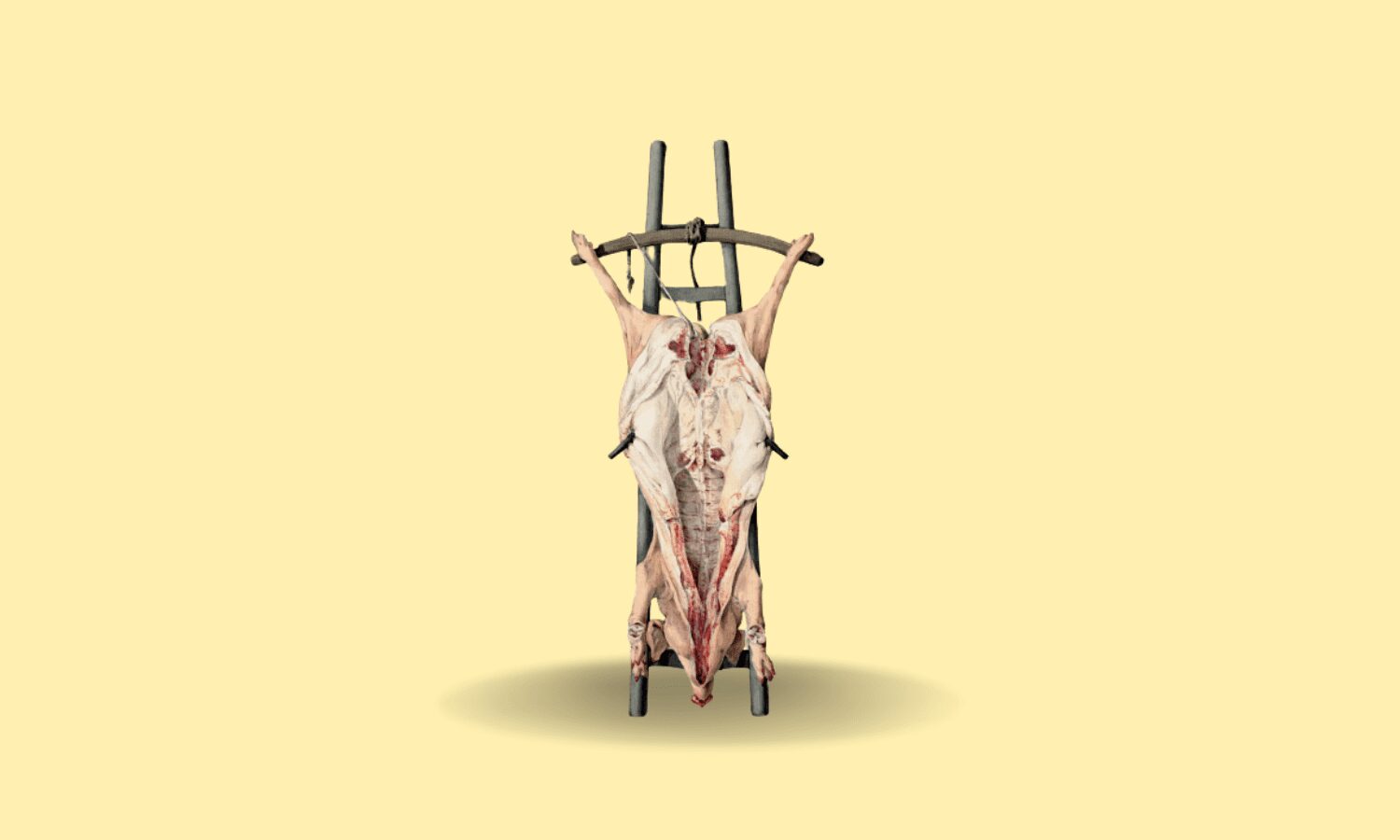 Meat is murder?