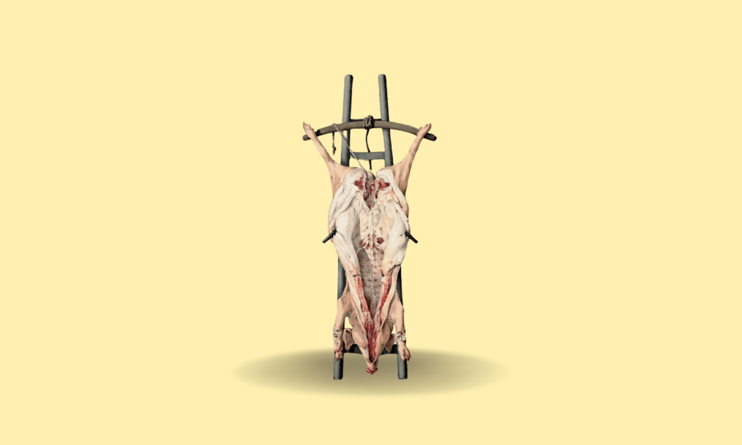 Meat is murder?
