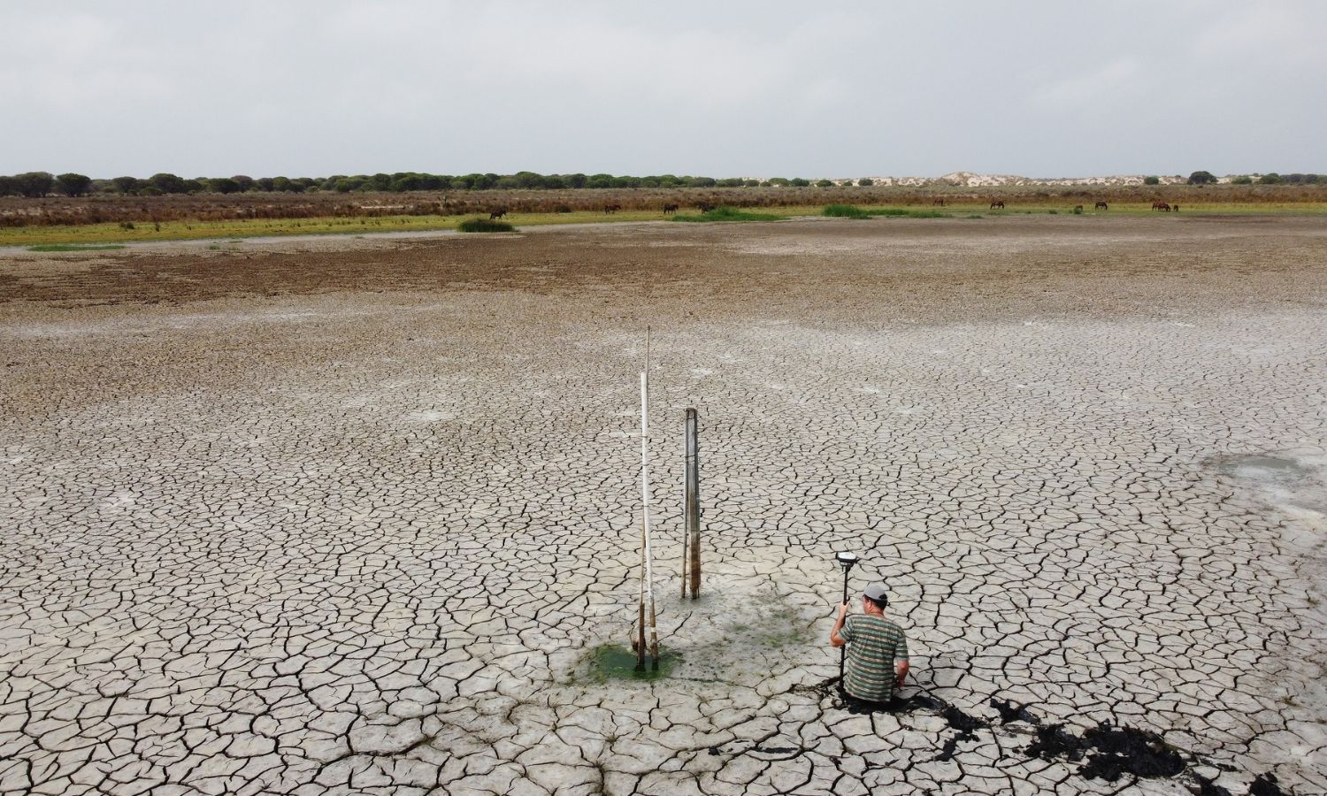 Santa Olalla, la laguna más grande de Doñana, se seca por segundo año consecutivo
