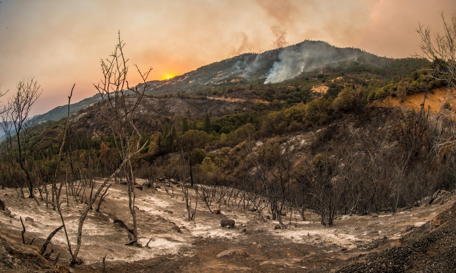¿Insalvables? Los sitios que ni las aseguradoras quieren tocar