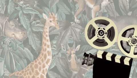 Diez películas que han retratado la lucha ecologista