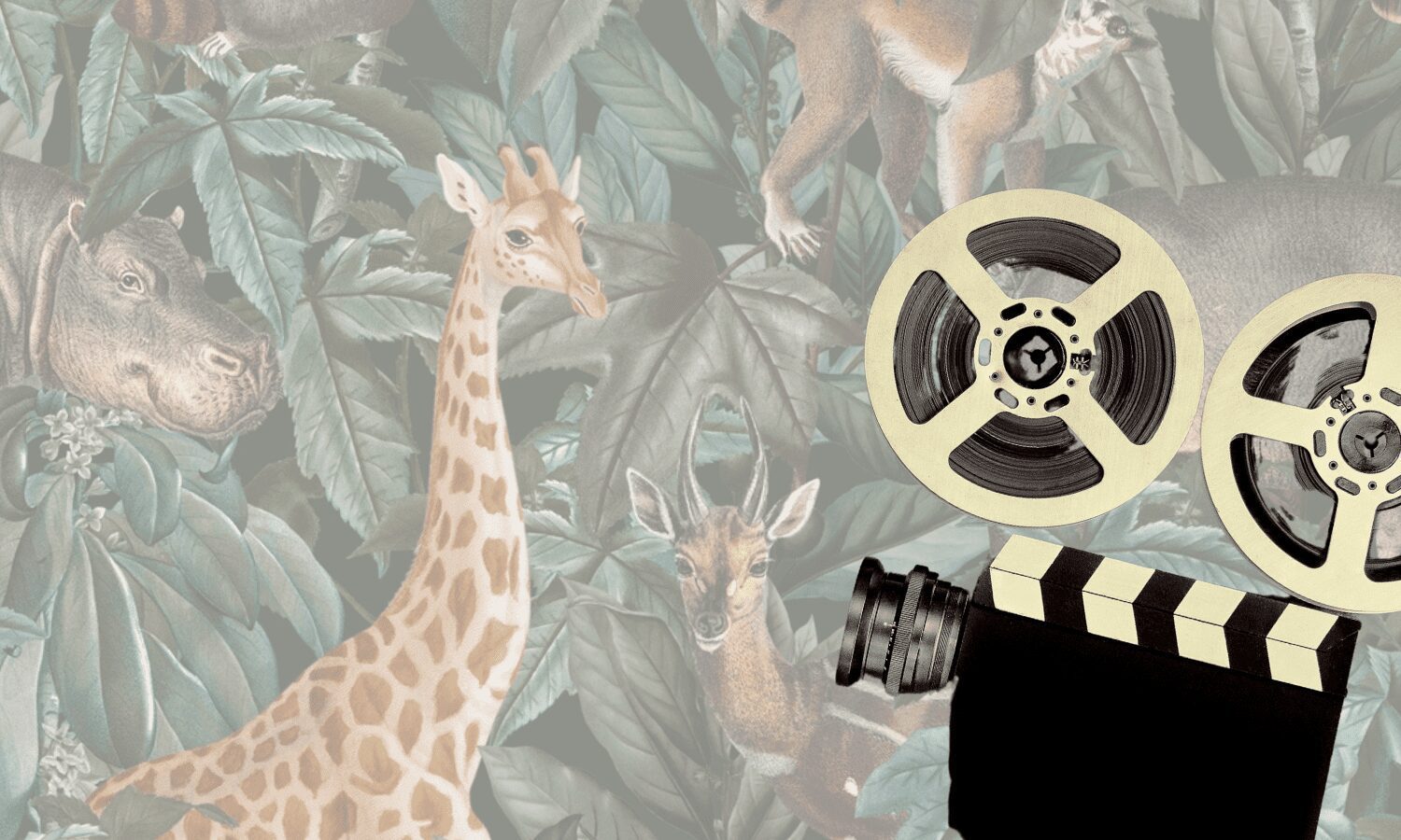 Diez películas que han retratado la lucha ecologista