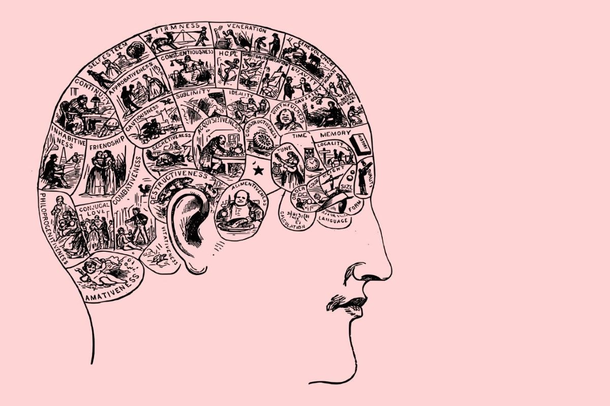 Las etiquetas…¿limitan o liberan?