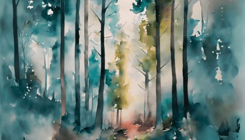 Los bosques se mueren de sed