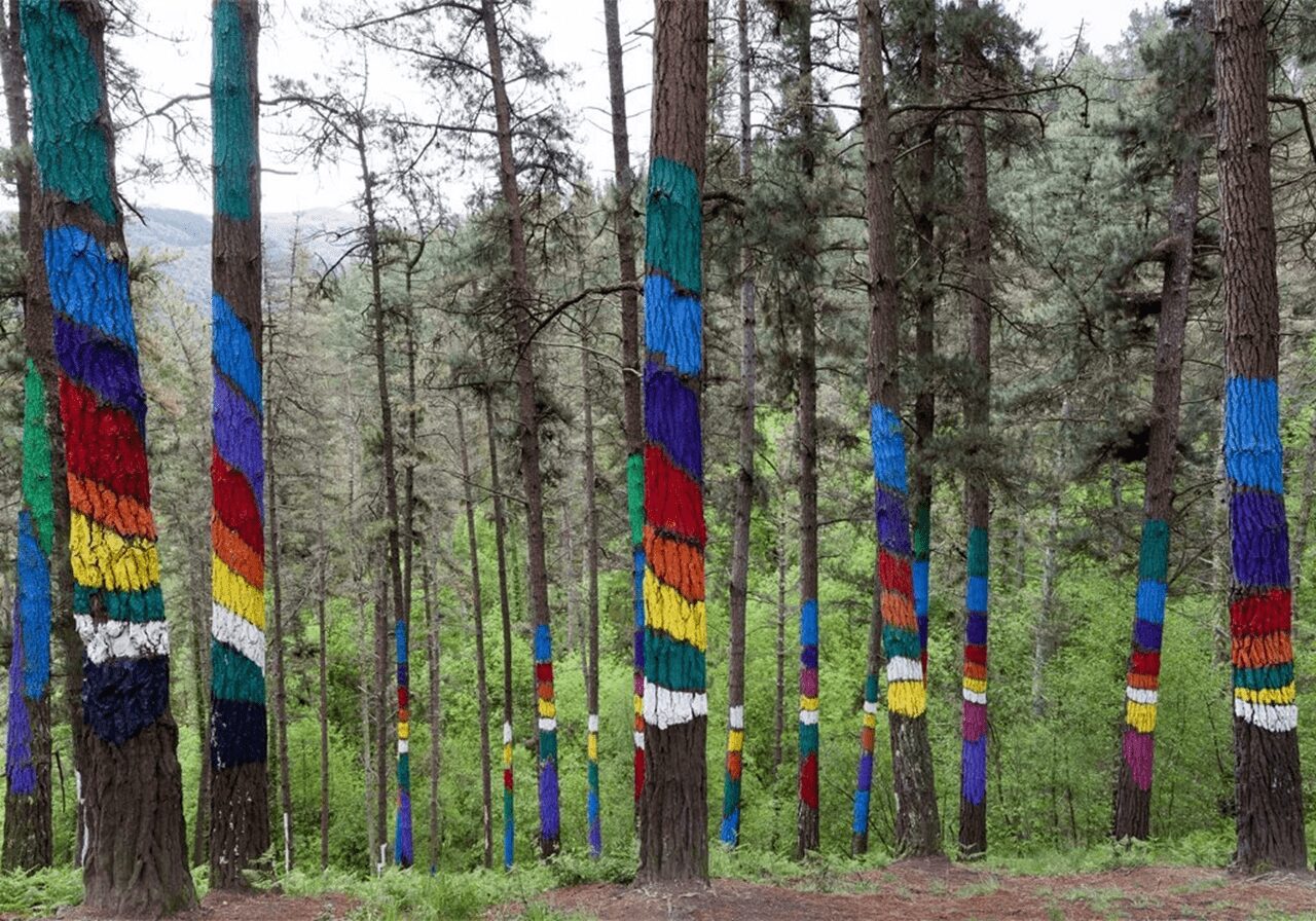 Bosque Pintado de Oma, Bizkaia