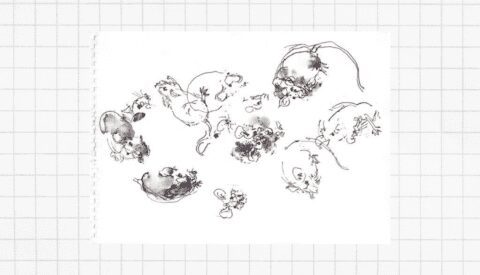 ¿Por qué miramos a los animales?