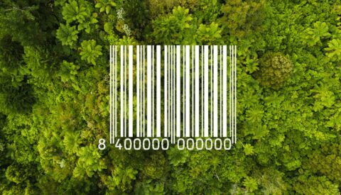 El Dow Jones Sustainability Index 2023 reconoce a 15 empresas españolas entre las más sostenibles del mundo