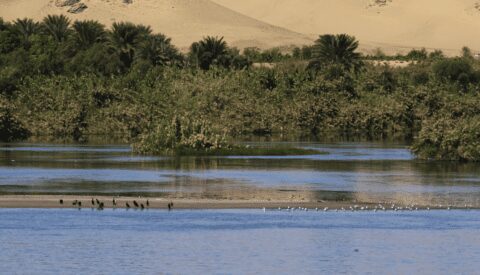 El Nilo, más que un río