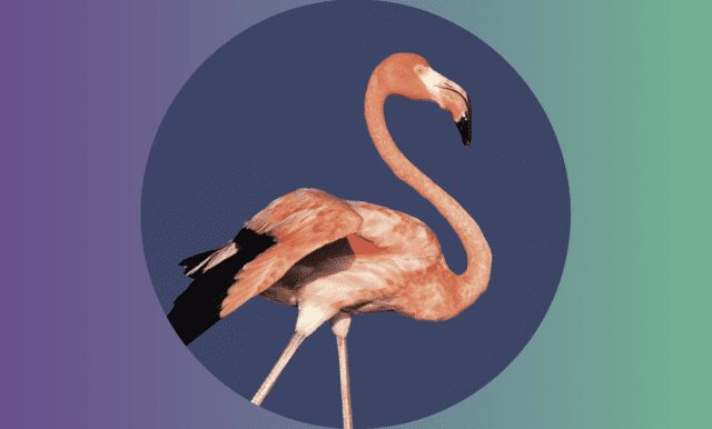 Digitalización y sostenibilidad ambiental, condenadas a entenderse