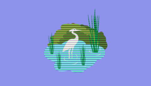 Humedales, guardianes de la biodiversidad