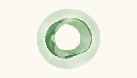 Cuando el «silencio verde» amenaza la descarbonización