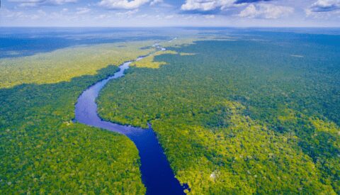 Amazonía: radiografía del pulmón del mundo