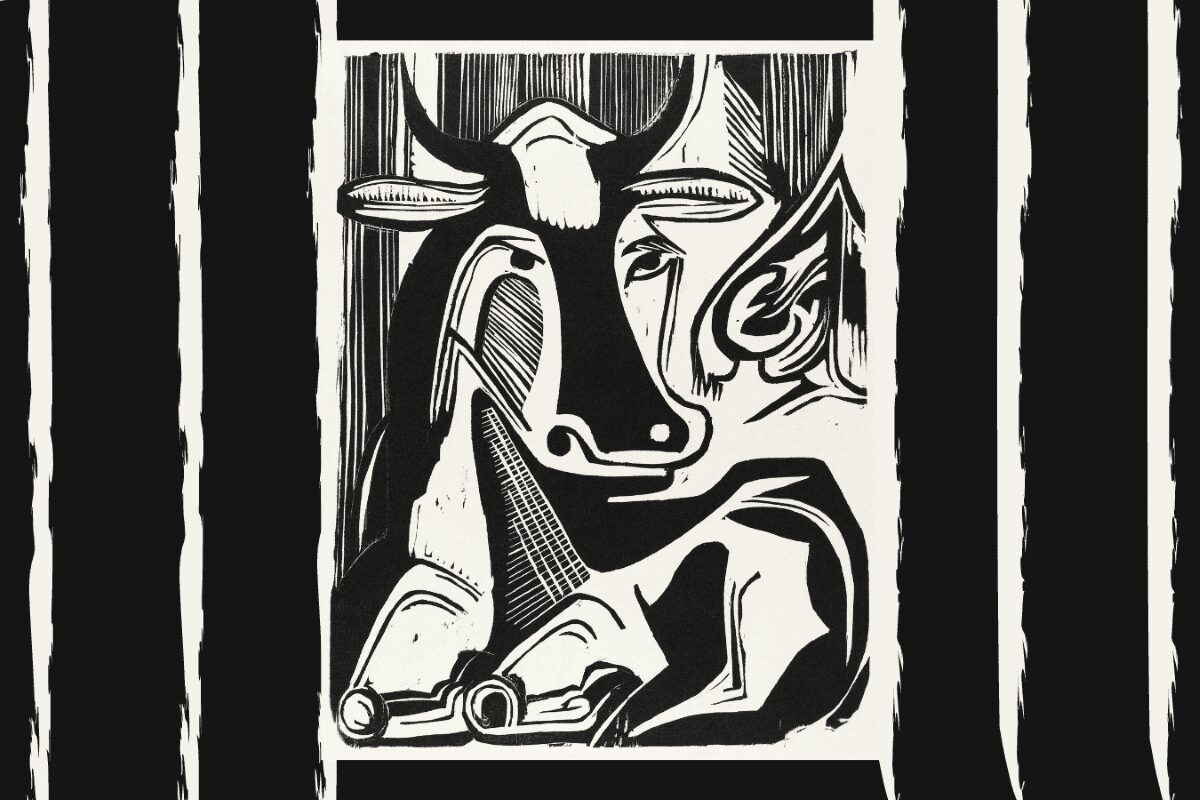 ¿Por qué ya no bebemos leche?