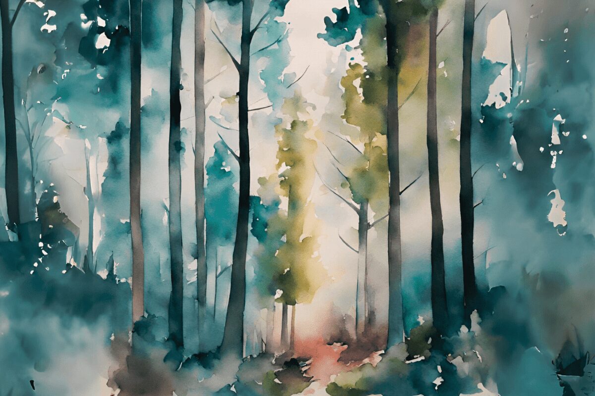 Los bosques se mueren de sed