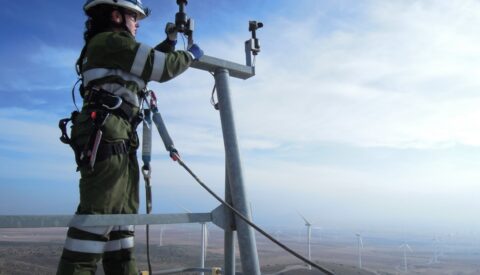 La transición energética como fuente de empleo verde