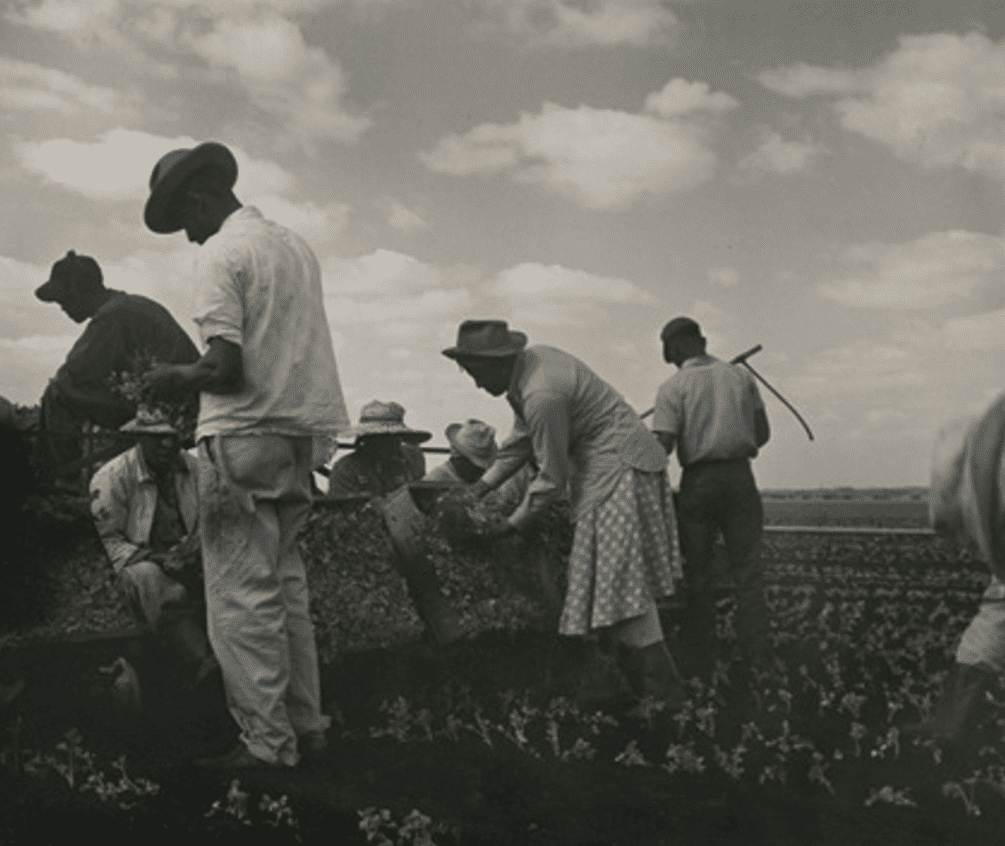 Tennessee, 1950