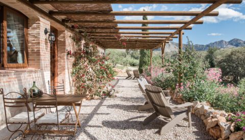 Turismo con sabor a oliva