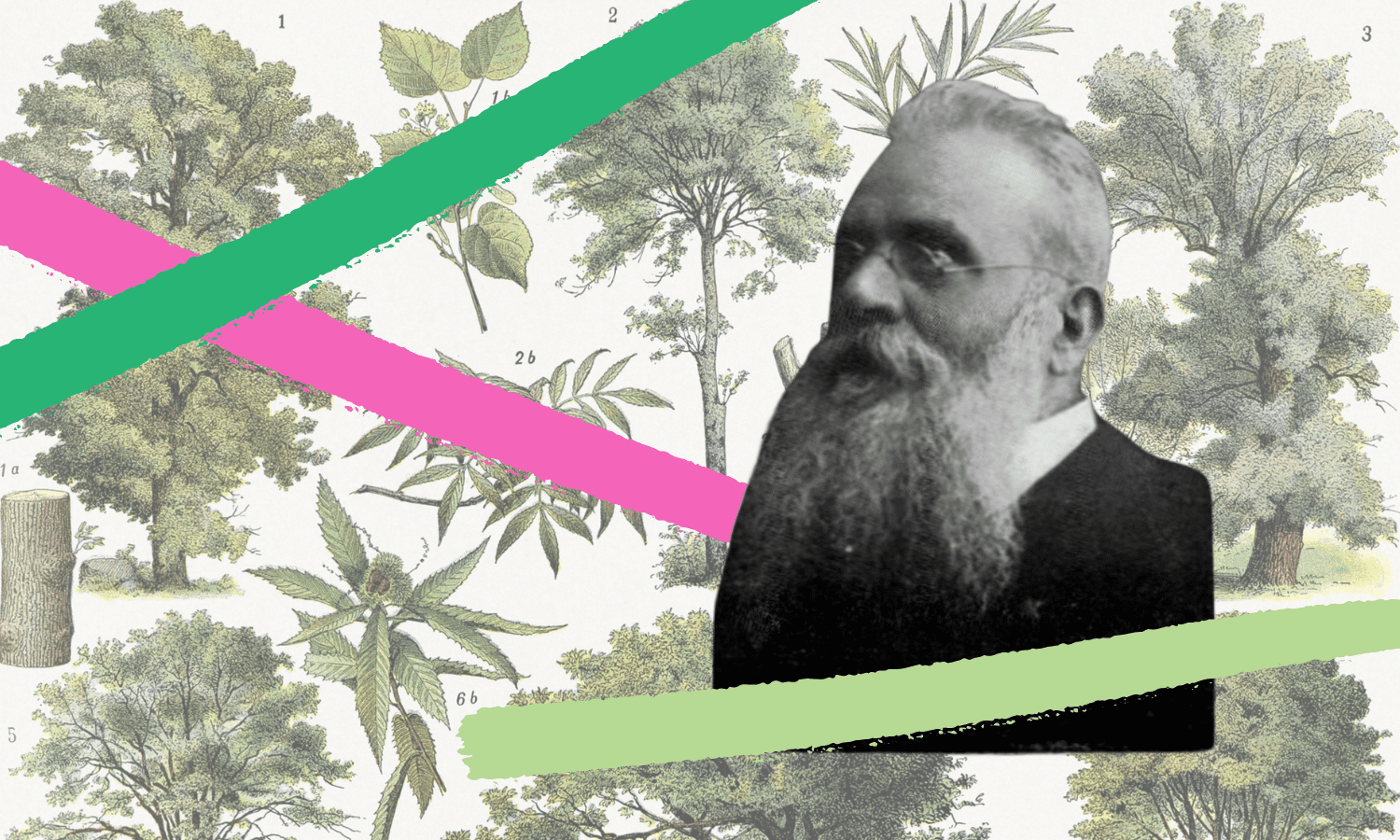 Homenaje centenario al ‘apóstol del árbol’