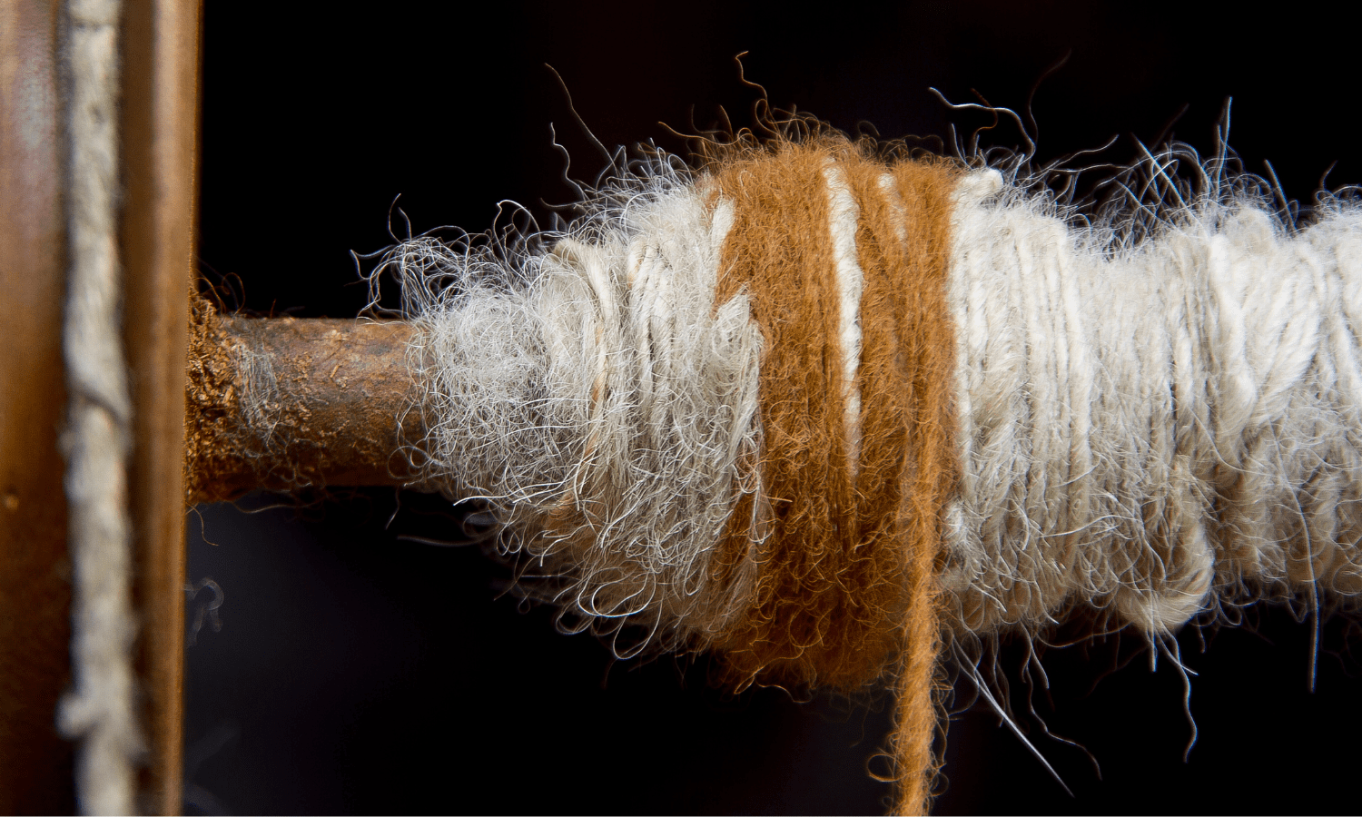 ¿La lana recupera su fama? | Ethic