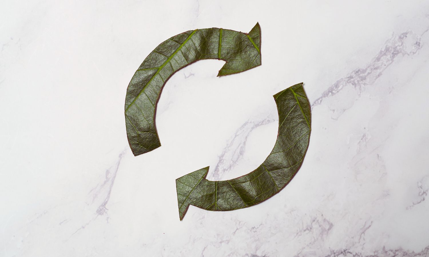 Ecosistemas innovadores: atrayendo y reteniendo talento