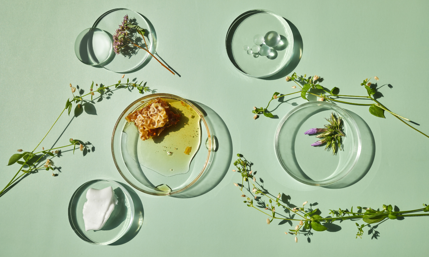 Innovación tecnológica inspirada en la naturaleza